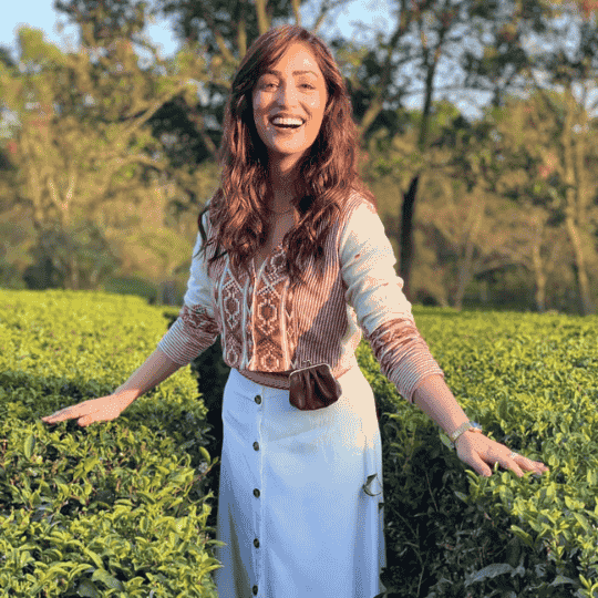 Kangra Leaf Classic Tea – Premium Aroma | Super Saver Pack