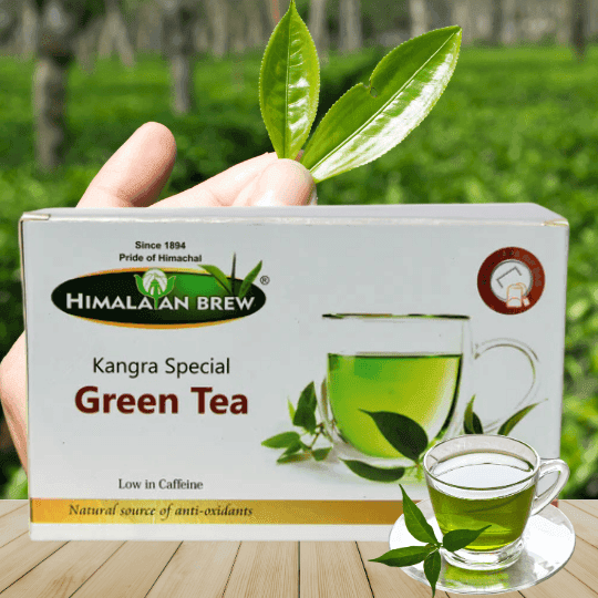 Kangra Special Green Tea – Pure Himalayan Wellness in Every Cup