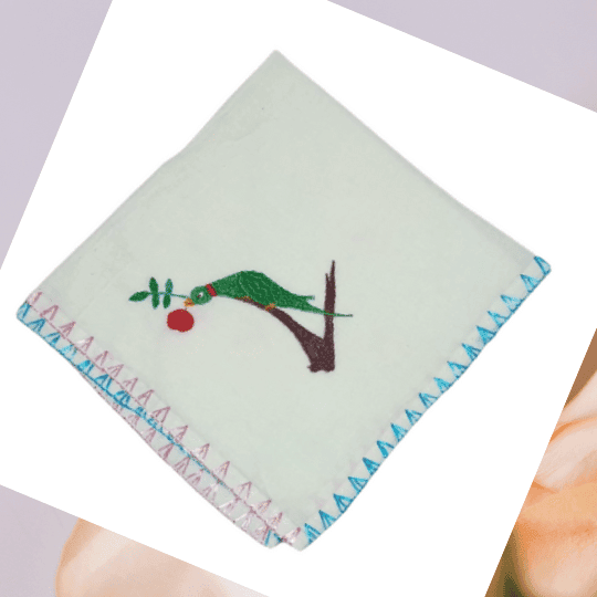 Chamba Rumal – Parrot Hand Embroidered Handkerchief | Traditional Chamba Art | Apneehatti