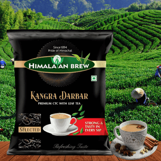 KANGRA DARBAR CTC with Long Leaf Tea | Strong, Bold & Flavorful Blend | 250g, 500g, 1kg Loose Leaf + CTC Tea