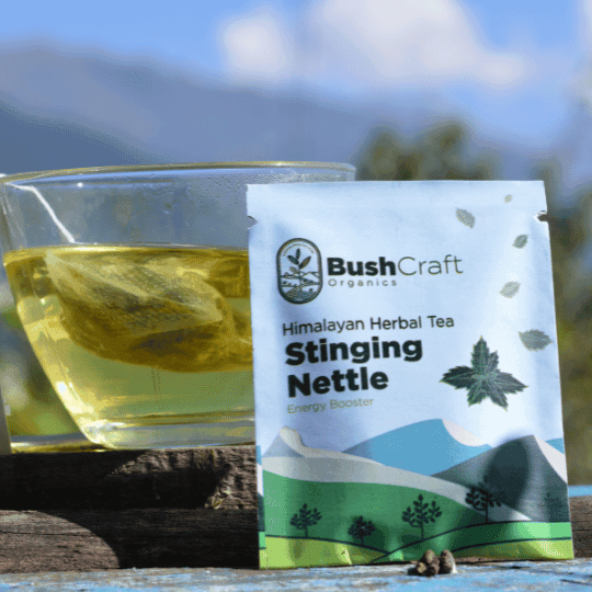  Stinging Nettle (Urtica Dioica) Tea | 15 Tea Bag | Nettle Leaf Tea 