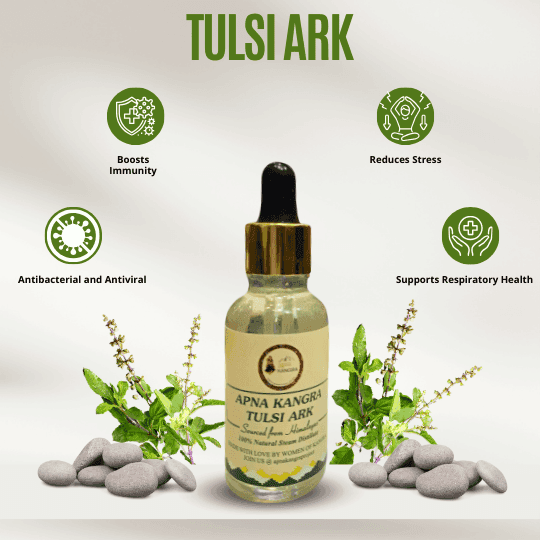 Tulsi Ark Extract – Pure Tulsi/Basil Extract with Vitamin C & Zinc | 30ML